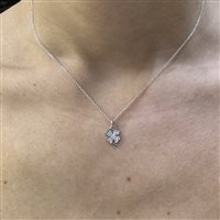 Collier Crivelli Femme in Or blanc Diamante 0.09 Ct 370-XN2572 - 370-XN2572